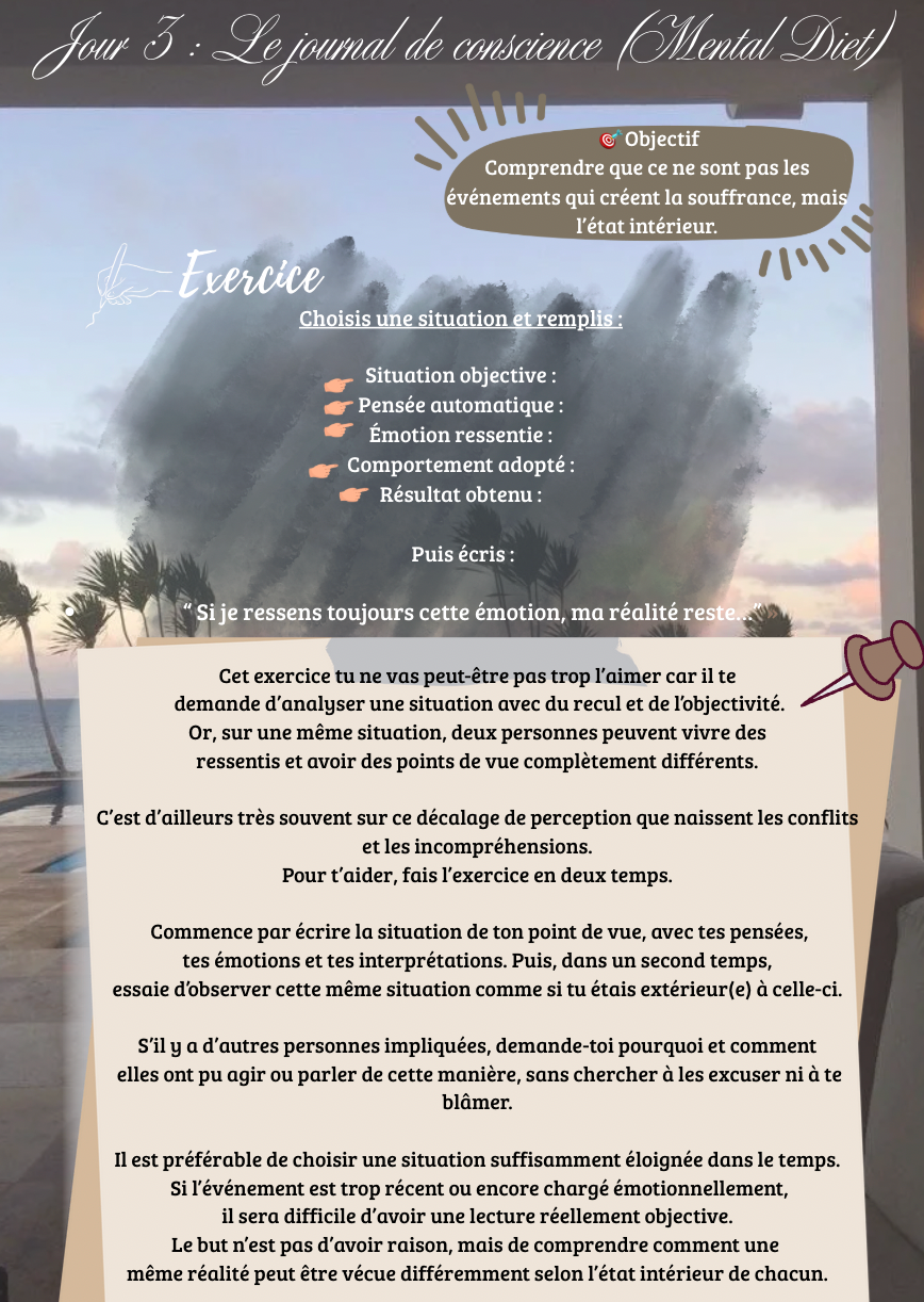 The Reset : Reprogramme ton cerveau & manifeste ta réalité